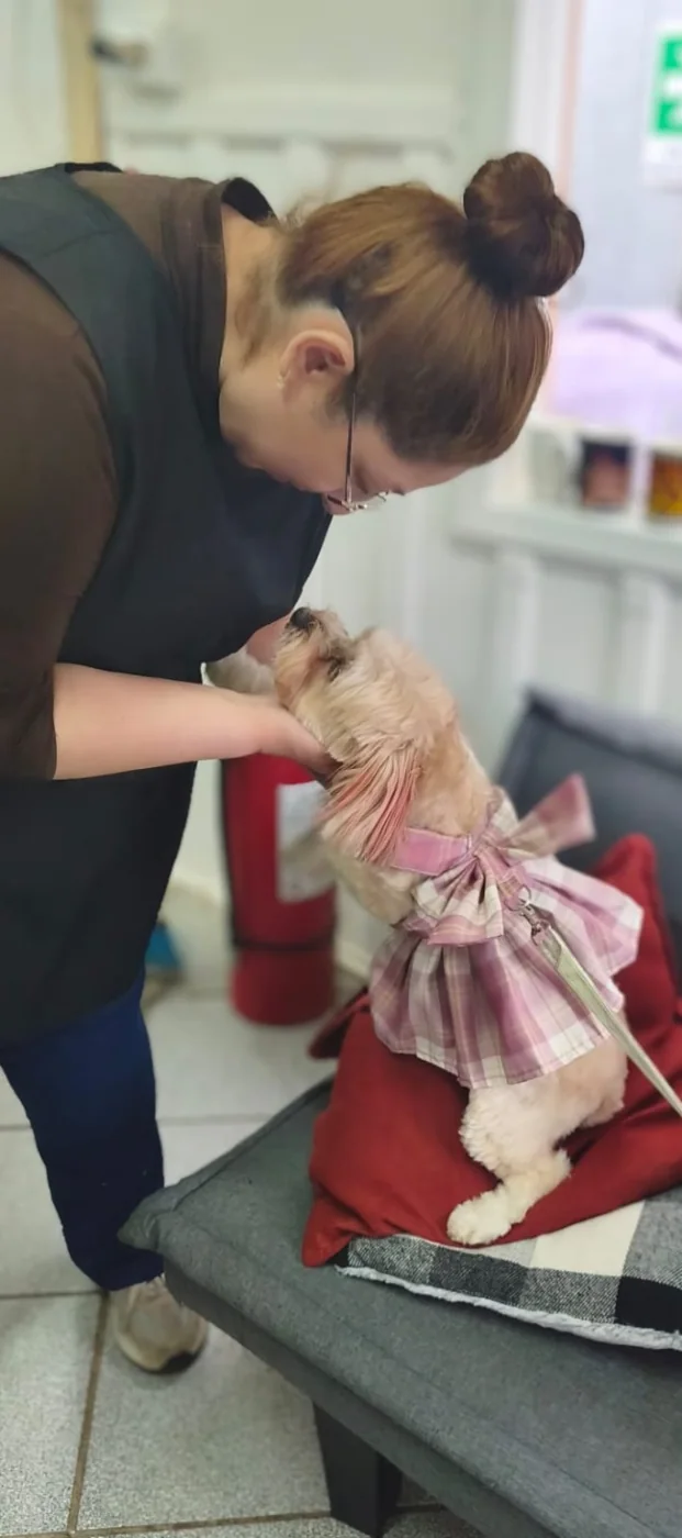 Profesional de Pituquitos cuidando a un perro durante el baño