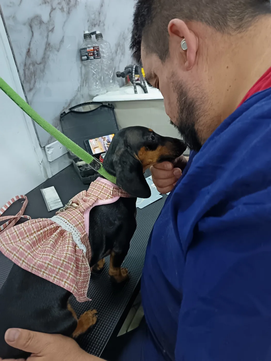 Peluquero de Pituquitos acompañando cariñosamente a una perrita salchicha
